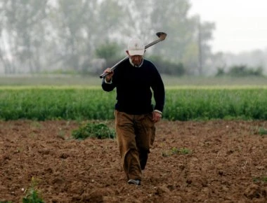Αύξηση κατά 82% στις ρυθμίσεις οφειλών των αγροτών